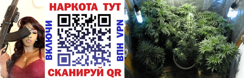 Виды наркоты Болотное Конопля A PVP ГАШ Мефедрон АМФ COCAIN