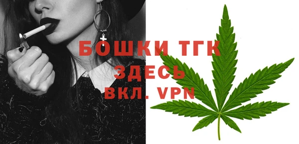 ECSTASY Армянск
