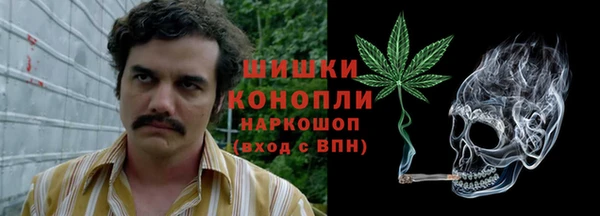 ECSTASY Армянск